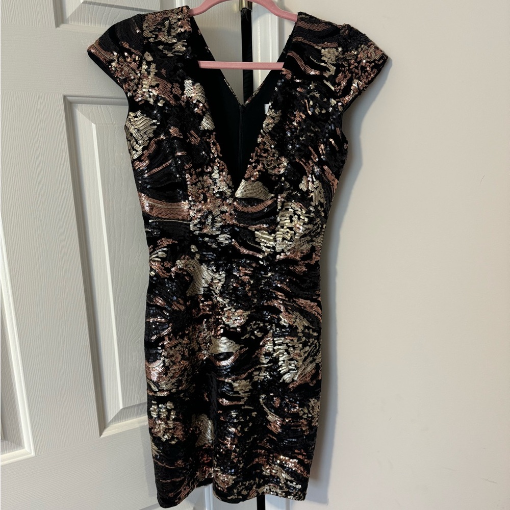 Dress the Population Sequin Dress